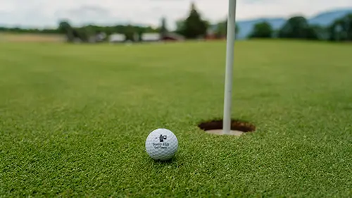 Promo: $220 Stay & Play Golf Package