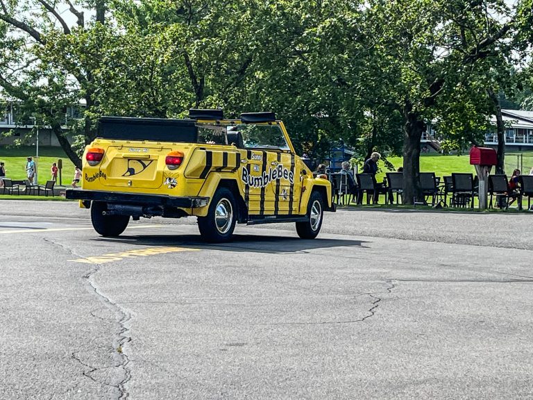 Bumble Bee
